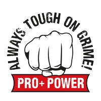 Pro+Power Logo