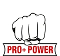Pro+ Power Logo